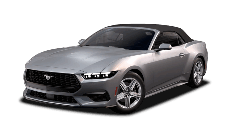 Iconic Silver Metallic