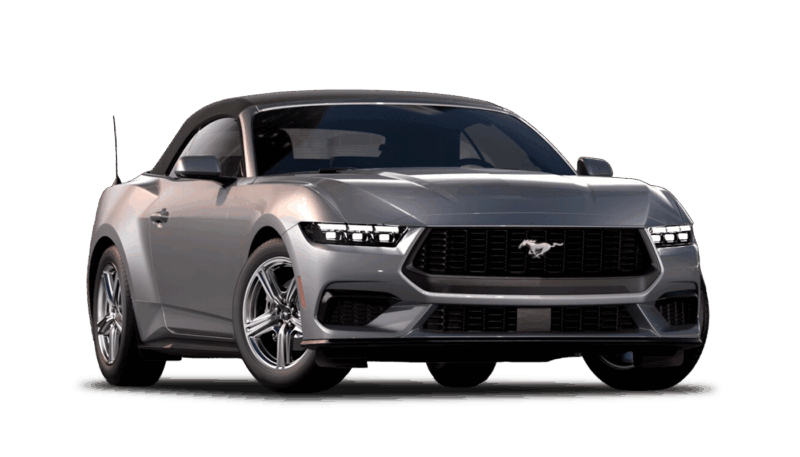 Iconic Silver Metallic