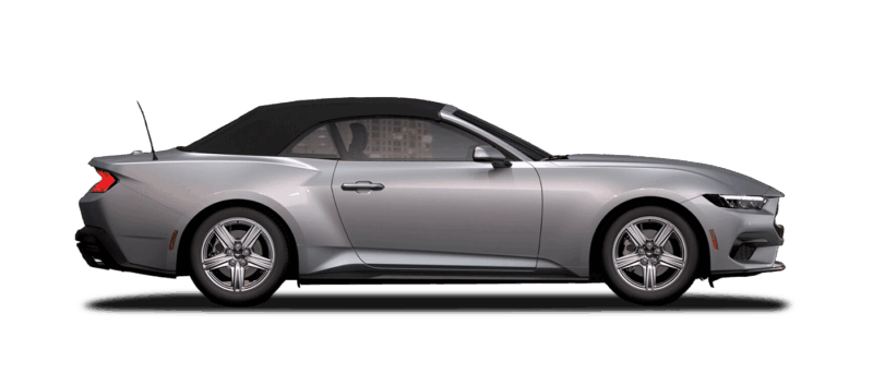 Iconic Silver Metallic