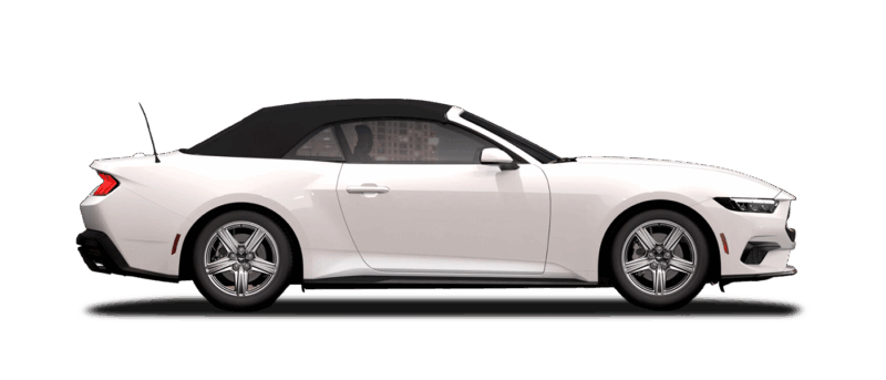 Ecoboost Convertible Image