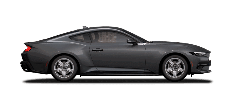 Ecoboost Fastback Image