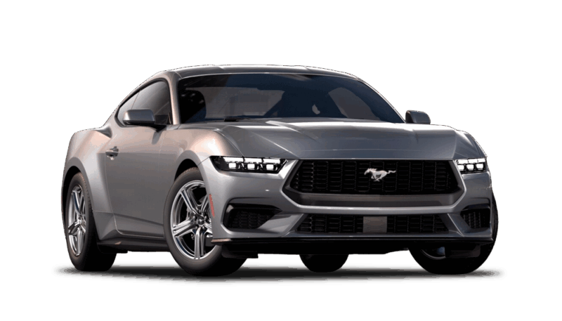 Iconic Silver Metallic