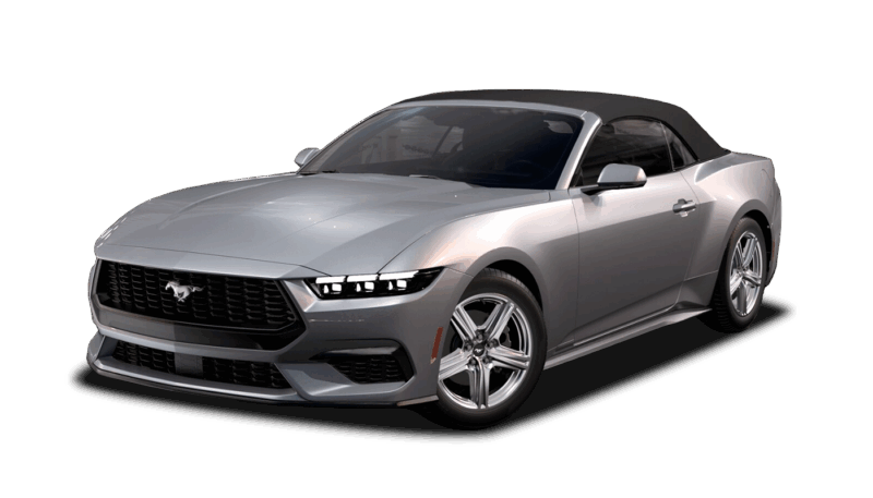 Iconic Silver Metallic