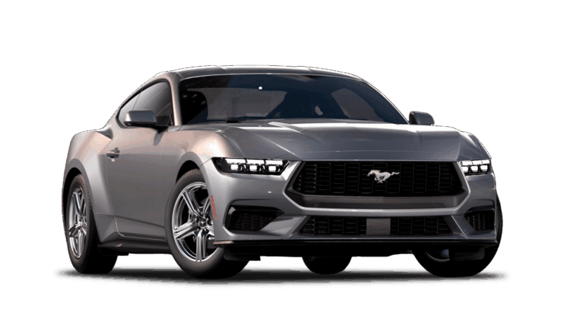 Iconic Silver Metallic