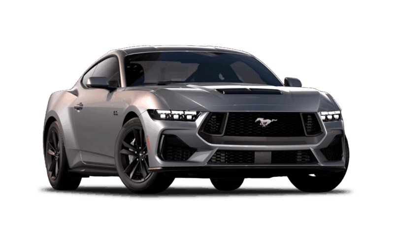 Iconic Silver Metallic