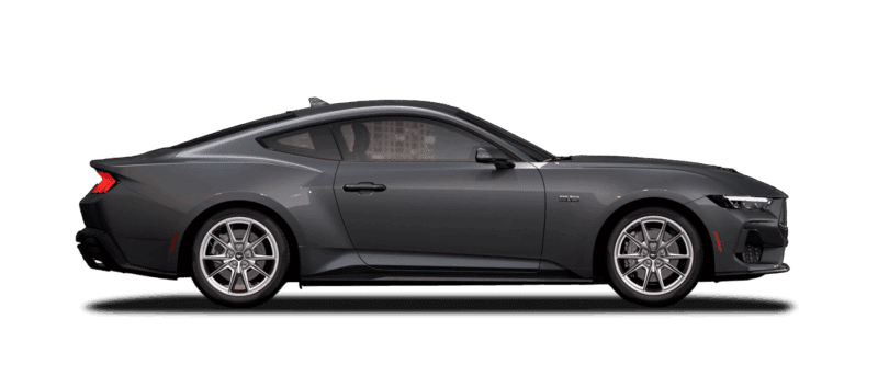 GT Premium Fastback Image