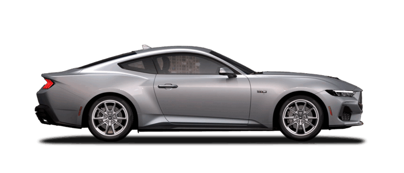 GT Premium Fastback Image