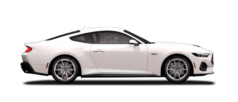 GT Premium Fastback Image