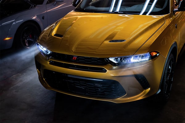 Not Another Face In The Crowd