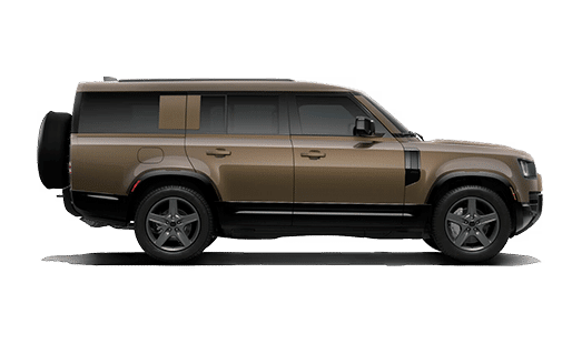 X‑Dynamic SE Image