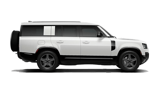 X‑Dynamic SE Image