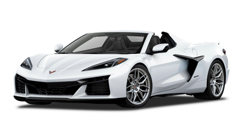 Arctic White