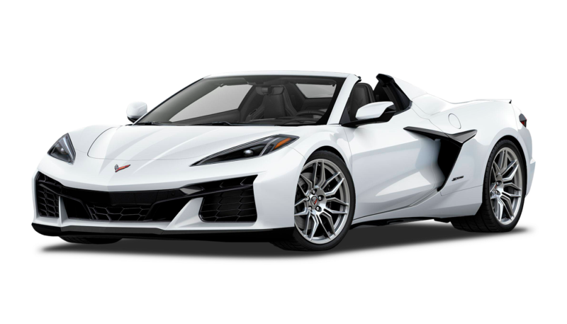 Arctic White