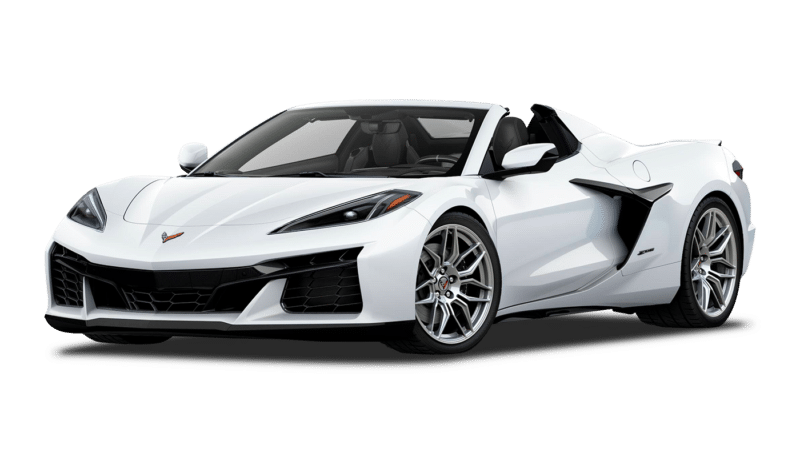 Arctic White