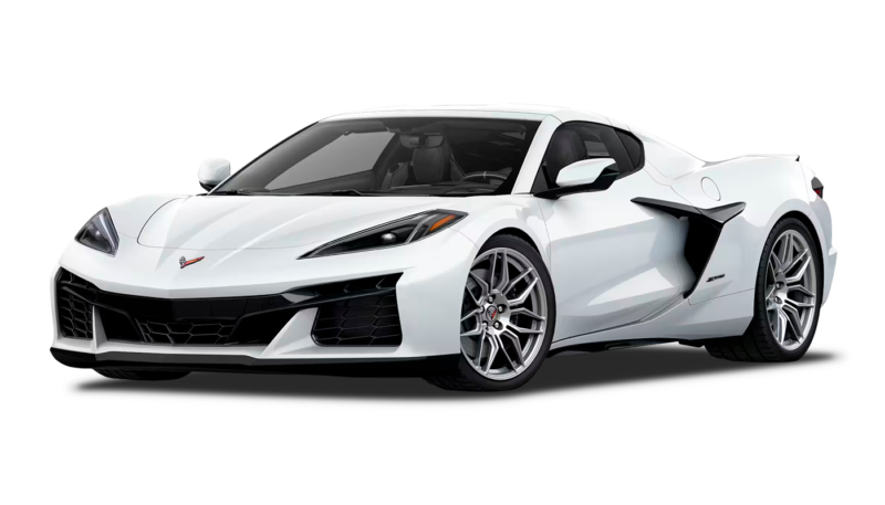 Arctic White