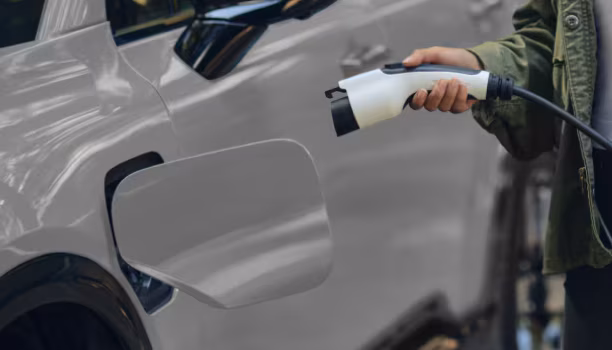 Batteries Designed for Longevity