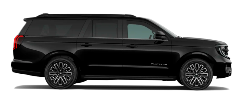 Platinum Max Image
