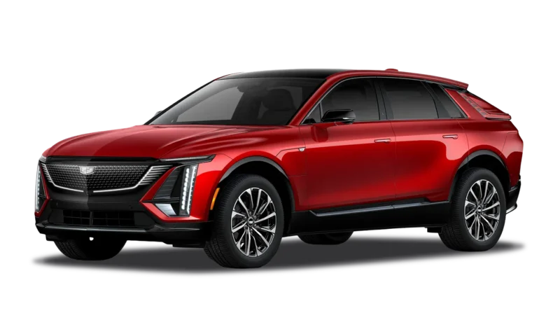 Radiant Red Tintcoat
